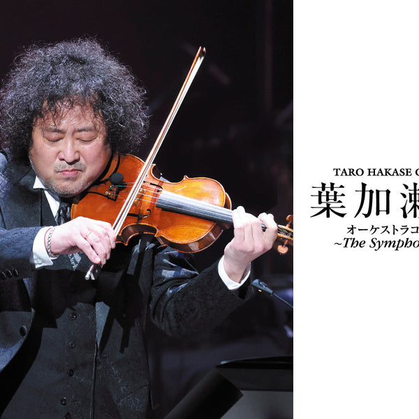 ひろ太郎‼️ hitete 4.5 ウィローボウ/黒・シフォンカーフブロンズ / KT-58